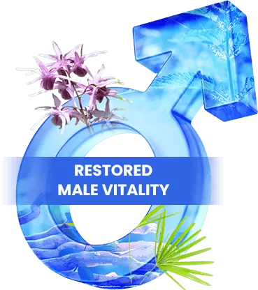 JellyFil natural vitality formula for men